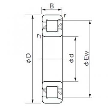 100 mm x 215 mm x 47 mm  NACHI NF 320 Rolamentos cilíndricos