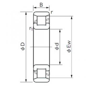 160 mm x 240 mm x 38 mm  NACHI N 1032 Rolamentos cilíndricos