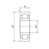 70 mm x 125 mm x 24 mm  NACHI NU214T Rolamentos cilíndricos