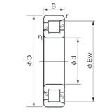 25 mm x 52 mm x 15 mm  NACHI NF 205 Rolamentos cilíndricos